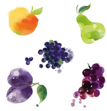 Set of apple pear grape plum blueberry