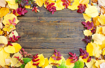 Naklejka na ściany i meble Colorful leaves frame on wooden board