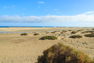 Morro Jable beach on coast of Fuerteventura, Canary Islands
