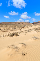 Fototapeta na wymiar Desert landscape and sand dune on Sotavento beach, Fuerteventura