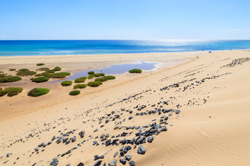 Zandduin op het strand van Sotavento, Fuerteventura, Canarische Eilanden