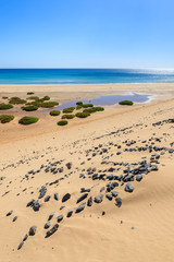 Sand dune on Sotavento beach, Fuerteventura, Canary Islands