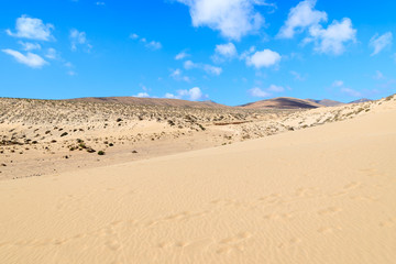 Fototapeta na wymiar Sand dune on Sotavento beach, Fuerteventura, Canary Islands