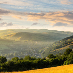 village on hillside meadow with forest in mountain