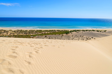 Fototapeta premium Footprints on sand dune at Sotavento beach, Fuerteventura island