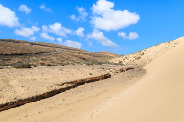 Sand dune on Sotavento beach, Fuerteventura, Canary Islands