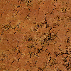 Fondo de Tierra Arcillosa Agrietada