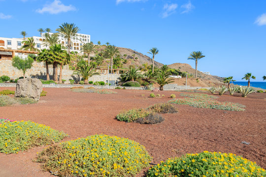 Geen public area in Las Playitas village, Fuerteventura island