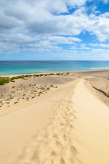 Fototapeta na wymiar Footprints on sand dune on Sotavento beach, Fuerteventura island