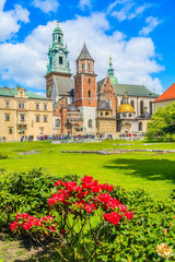 Fototapeta na wymiar Red flowers in Wawel castle park in spring, Krakow, Poland