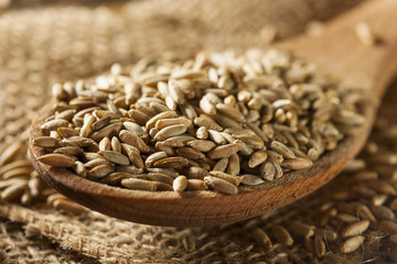 Obraz premium Organic Dry Raw Rye Grain