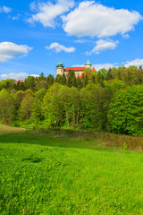 Fototapeta na wymiar Nowy Wisnicz castle on green hill on sunny beautiful day, Poland