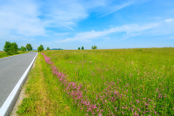 Countryside road in summer landscape of Tatra Mountains, Poland