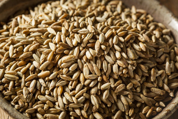 Organic Dry Raw Rye Grain