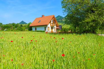 Fototapeta na wymiar Traditional house on green field in Pieniny Mountains, Poland