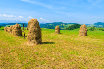 Hay bales on green field in summer, Pieniny Mountains, Poland