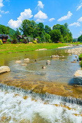 Dunajec river in Szczawnica town in summer, Pieniny, Poland