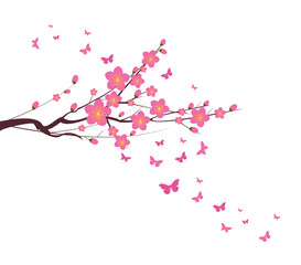 Cherry Blossom and butterfly chinese new year
