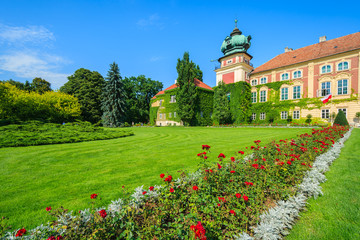 Fototapeta na wymiar Red roses in gardens of Lancut castle on sunny day, Poland