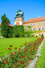 Red roses in gardens of Lancut castle on sunny day, Poland