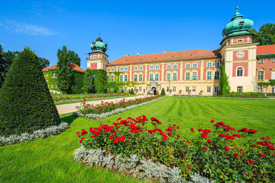 Fototapeta Red roses in gardens of Lancut castle on sunny day, Poland