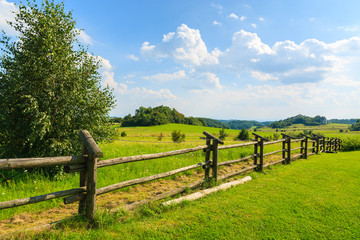 Fototapeta na wymiar Wooden fence on green field in summer near Krakow, Poland