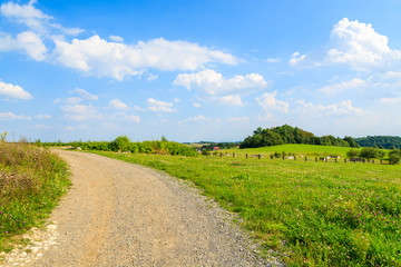 Rural road along a green meadow in summer landscape of Poland