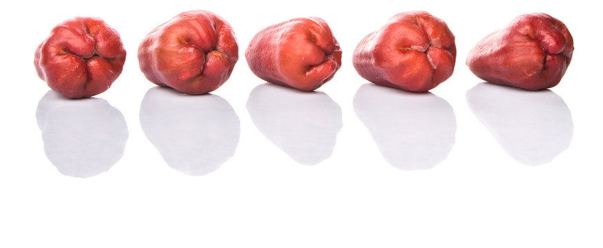 The exotic rose apple fruit over white background