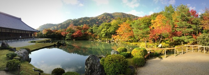 Beautiful Japanese garden in fall of  Tenryu-ji Temple, Kyoto 紅葉初めの京都天龍寺 - obrazy, fototapety, plakaty
