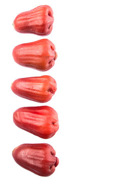 The exotic rose apple fruit over white background