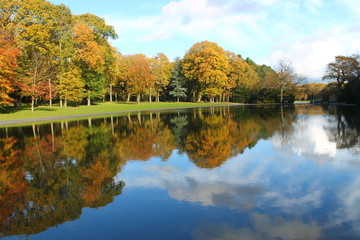 Foret de Montgeon en Automne, Le Havre