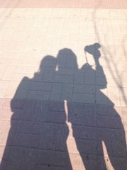 тени на земле