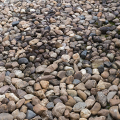 pebble stone texture background