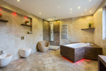 Luxury and modern bathroom interior