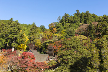 秋の奈良談山神社