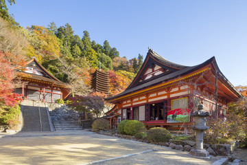 秋の奈良談山神社