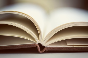 Close up on open book pages.Toned.