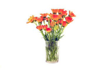 marigold medical calendula flowers bouquet  in glass