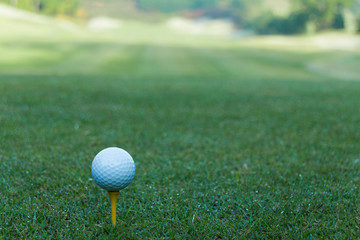 ゴルフ　ティーグラウンド