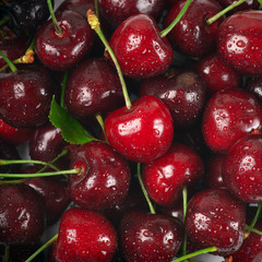 Wet cherries close-up