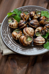 Close-up of snails with garlic butter on a plate, vertical shot