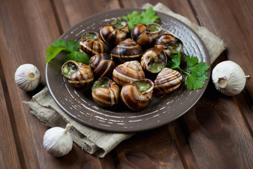 Baked snails with garlic butter and herbs, rustic wooden surface