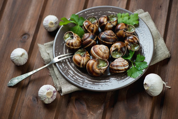 Bourguignonne snail au gratin, horizontal shot