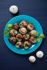 Snails with garlic butter on a glass plate, above view