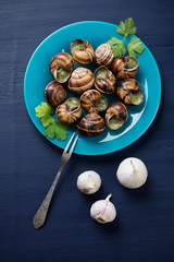 Bourgogne snails with garlic butter, dark blue wooden surface