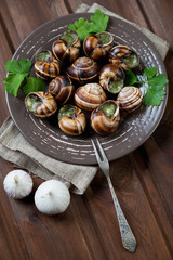 Bourgogne snails with garlic butter, studio shot