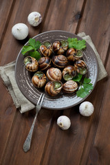 Bourgogne snails with garlic butter and parsley, high angle view