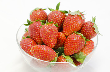 Ichigo_001