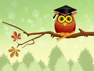 owl graduate on branch