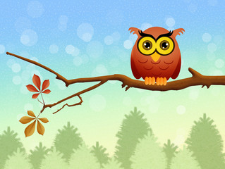 owl on branch